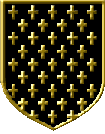 Crosses are also a commonly used. This particular shield design would be very hard to paint!